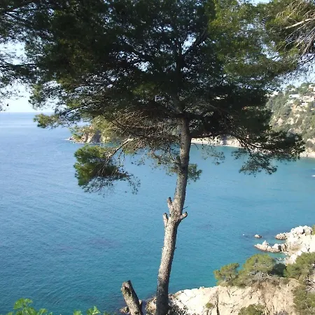 Corinna Tossa de Mar