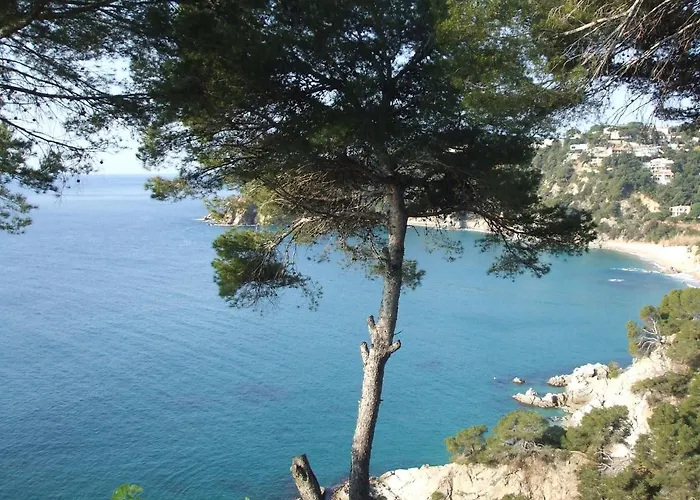 Corinna Тосса-де-Мар